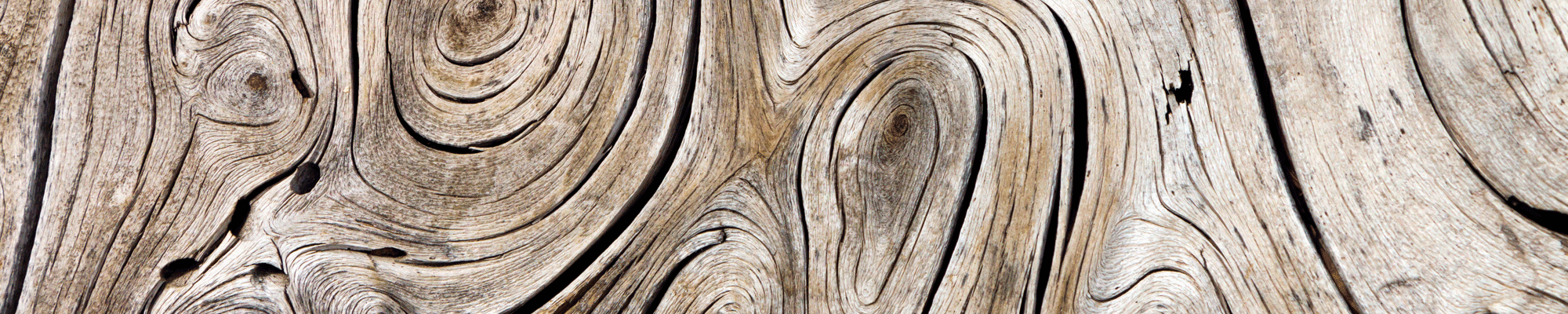 HEADER--hout-huisstijl